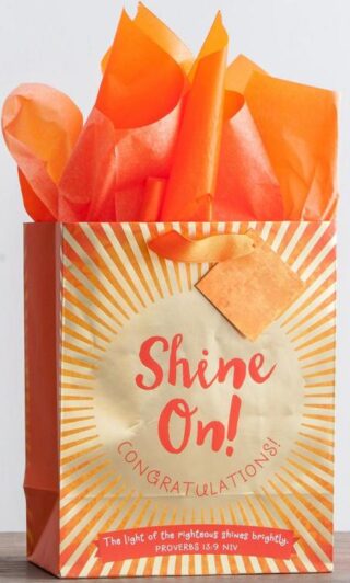 081983582325 Shine On Specialty Gift Bag