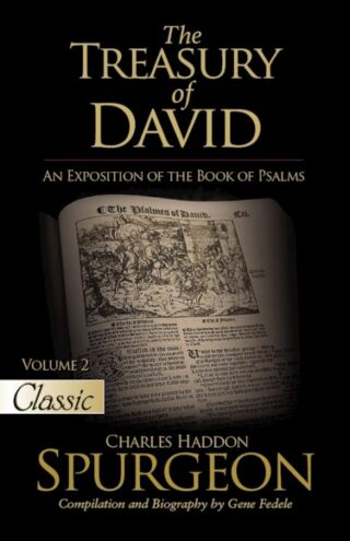 9781610369923 Treasury Of David Volume 2