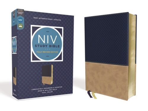 NIV Study Bible