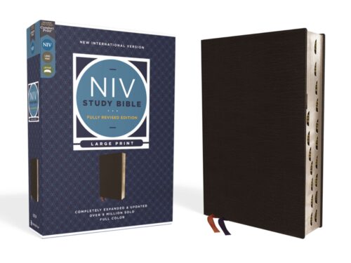 NIV Study Bible