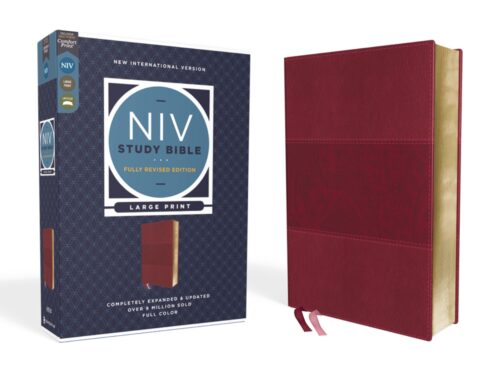 NIV Study Bible