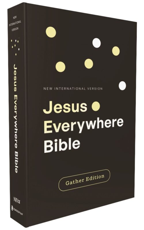 NIV Jesus Everywhere Outreach Bible Large Print