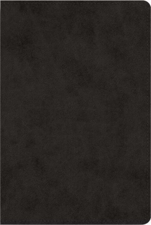 9781433591969 Single Column Heritage Bible