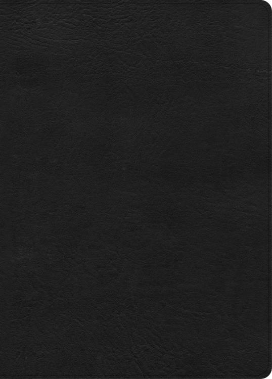 9798384526230 Study Bible Large Print Digital Study Edition