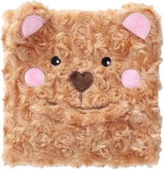 9781424571949 Prayer Bear