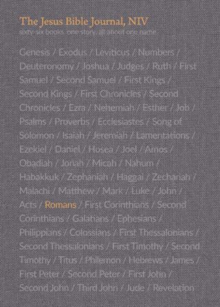 9780310456162 Jesus Bible Romans Journal Comfort Print