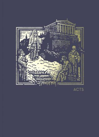 9780785237334 NET Abide Bible Journal Acts Comfort Print