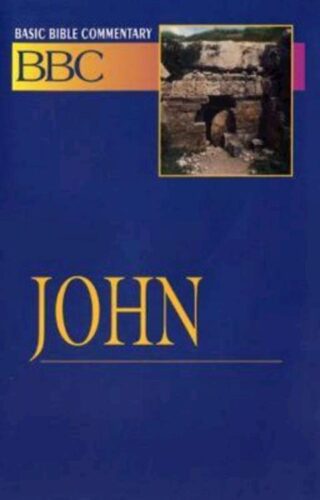 9780687026395 John : NRSV And NIV