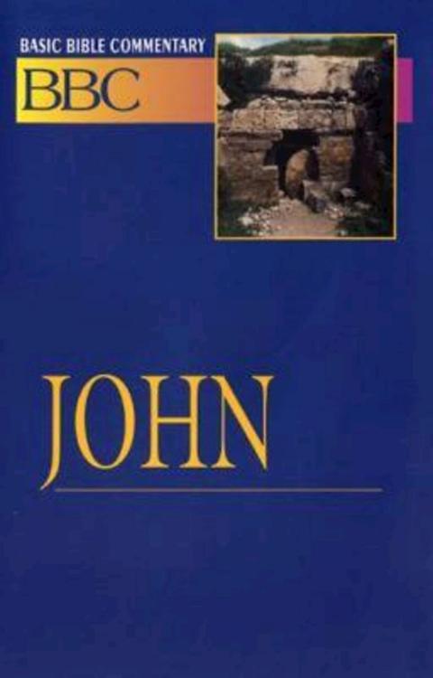 9780687026395 John : NRSV And NIV