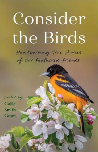 9780800747459 Consider The Birds