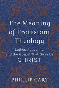 9780801039454 Meaning Of Protestant Theology
