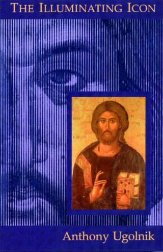 9780802847829 Illuminating Icon A Print On Demand Title