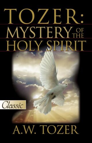 9780882703428 Tozer Mystery Of The Holy Spirit