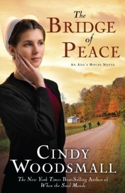 9781400073979 Bridge Of Peace
