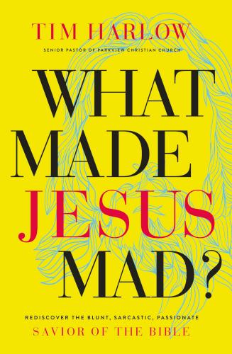 9781400208630 What Made Jesus Mad