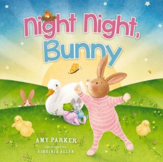 9781400212736 Night Night Bunny