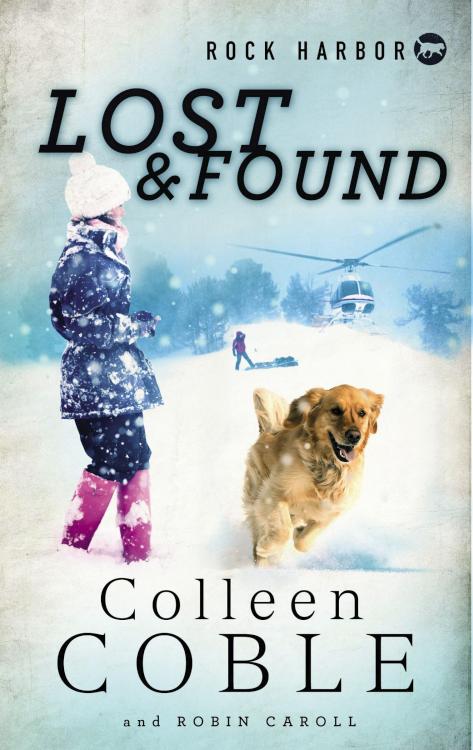 9781400321636 Lost And Found