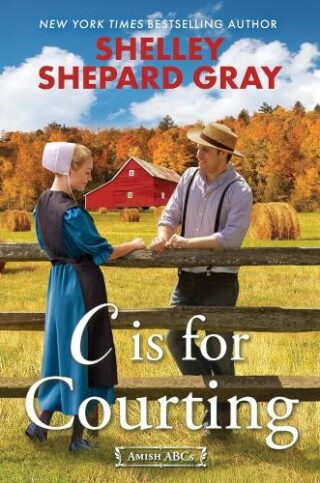 9781496748904 C Is For Courting
