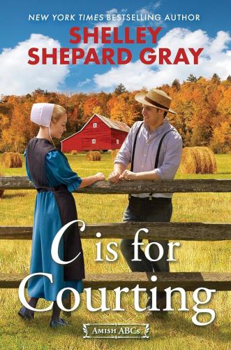 9781496748911 C Is For Courting