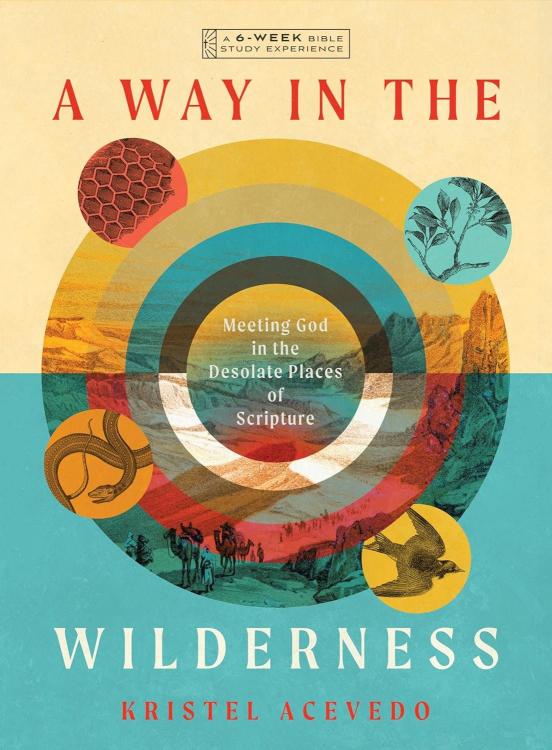 9781514009284 Way In The Wilderness