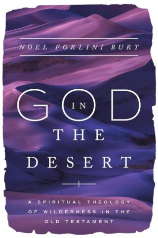 9781514010303 God In The Desert
