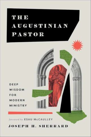 9781540966902 Augustinian Pastor : Deep Wisdom For Modern Ministry
