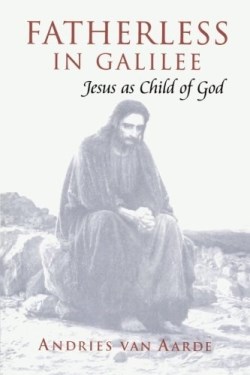 9781563383458 Fatherless In Galilee