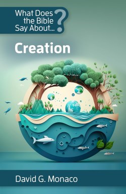 9781565486577 What Does The Bible Say About Creation