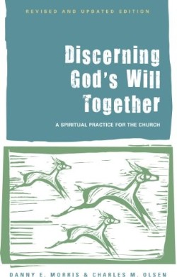 9781566994255 Discerning Gods Will Together (Revised)