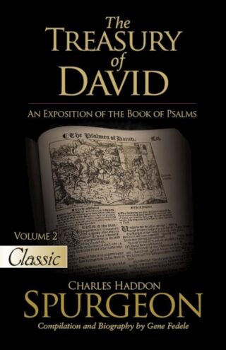9781610369923 Treasury Of David Volume 2