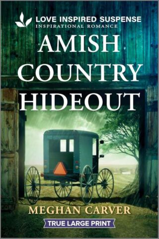 9781335400314 Amish Country Hideout (Large Type)