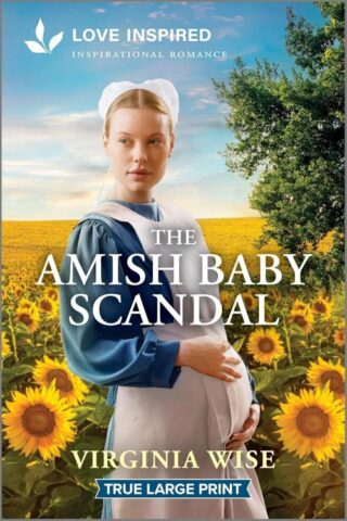 9781335904928 Amish Baby Scandal (Large Type)